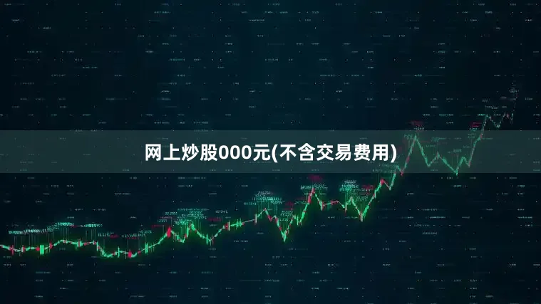 网上炒股000元(不含交易费用)