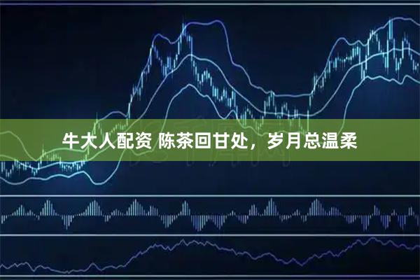 牛大人配资 陈茶回甘处，岁月总温柔