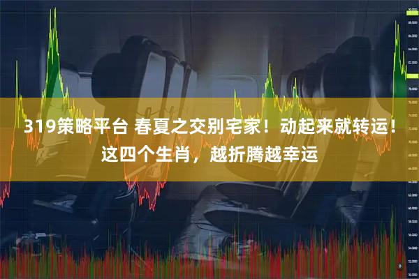319策略平台 春夏之交别宅家!动起来就转运!这四个生肖,越折腾越幸运